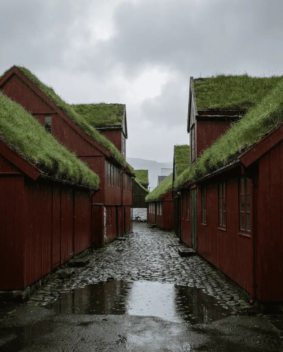 Eye-level shot of the historic red wooden government buildings of Tinganes with bright green grass roofs, set against a grey, cloudy sky